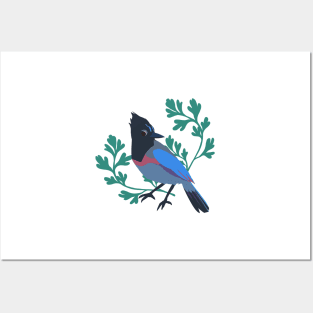 Spring Stellar’s Jay Posters and Art